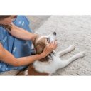 Trixie (Трикси) Салфетки для ухода за глазами