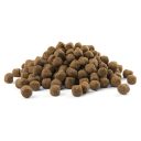 Opti Life (Опти Лай) Puppy Sensitive - Сухой корм для щенков всех пород (лосось)