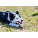 Trixie (Трикси) Denta Fun Chewing Rolls - Палочки для чистки зубов (утка)