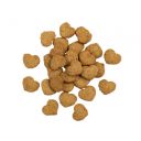 Savory (Сейвори) Coat and skin - Лакомства для здоровья кожи и шерсти, лосось с малиной