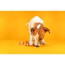 Trixie (Трикси) Fun Chicken Chewing Curls - Палочка-спиралька для чистки зубов собак (курица)