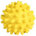 Trixie (Трикси) Игрушка мяч игольчатый с пищалкой для собак