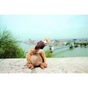 Trixie (Трикси) Гриф Gustav- Игрушка для собак ткань и плюш