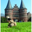 Trixie (Трикси) Гриф Gustav- Игрушка для собак ткань и плюш