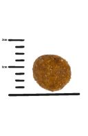 Green Petfood InsectDog Sensitive Adult - Корм для взрослых собак с чувствительным пищеварением