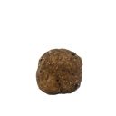 Opti Life (Опти Лай) Kitten  - Сухой беззерновой корм для котят (курица)