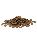 Opti Life (Опти Лай) Sensitive - Сухой беззерновой корм для котов с чувствительным пищеварением (лосось)