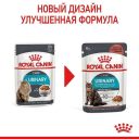 Royal Canin (Роял Канин) Urinary Care - Влажный корм для профилактики мочекаменной болезни, в соусе