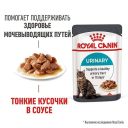 Royal Canin (Роял Канин) Urinary Care - Влажный корм для профилактики мочекаменной болезни, в соусе