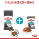 Royal Canin (Роял Канин) Urinary Care - Влажный корм для профилактики мочекаменной болезни, в соусе