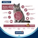 Advance (Эдванс) Sterilized Senior - Сухой корм для стерилизованных кошек старше 10 лет с курицей