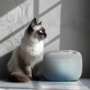 Collar WAUDOG Автоматична напувалка-фонтан для собак і кішок з підсвічуванням білий 2,5 л