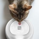 Collar WAUDOG Автоматична напувалка-фонтан для собак і кішок з підсвічуванням білий 2,5 л