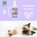 Menforsan (Менфорсан )- Успокаивающий спрей для окружающей среды кошек Коррекция поведения