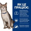 Hills ( Хилс ) PD Feline k/d Kidney Care Beef - влажный корм-диета для кошек с заболеваниями почек, с говядиной