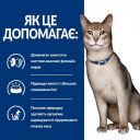 Hills ( Хилс ) PD Feline k/d Kidney Care Beef - влажный корм-диета для кошек с заболеваниями почек, с говядиной