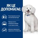 Hills (Хиллс) Prescription Diet Canine k/d Early Stage - Лечебный корм для собак для поддержания функции почек на ранней стадии заболевания