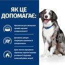 Hill's (Хиллс) Prescription Diet i/d Digestive Care Sensitive (ActivBiome+) - Лечебный корм с яйцом, рисом и инновационной смесью пребиотических пищевых волокон для собак с проблемами ЖКТ