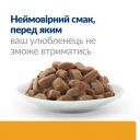 Hills ( Хілс ) PD Feline i/d Digestive Care Salmon - влажный корм для кошек способствующий поддержанию здоровья ЖКТ, с лососем