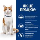 Hills (Хилс) PD On-Care - Сухой диетический корм в период тяжелых заболеваний и восстановления для кошек