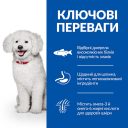 Hills (Хілс) SP Adult Hypoallergenic Small&Mini – сухой корм с лососем для взрослых собак малых и миниатюрных пород с чувствительным пищеварением