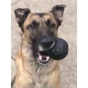 SodaPup (Сода Пап) Skull Treat Dispenser – Жевательная игрушка-диспенсер Череп для лакомств для собак, черный