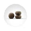 Josera (Йозера) Sensi Junior - Корм для щенков и взрослых собак средних пород с чувствительным пищеварением (утка лосось)