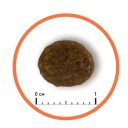 Almo Nature (Альмо Натюр) Holistic Cat Hairball Сhicken- Сухой корм для выведения шерсти у взрослых кошек со свежей курицей