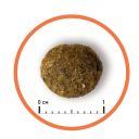 Almo Nature (Альмо Натюр) Holistic Cat - Сухой корм для взрослых кошек с чувствительным пищеварением со свежим ягненком