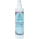 Baldecchi (Балдекки) Chlorhexidine Paw Sanitizer -   Санитайзер для лап с хлоргексидином