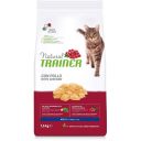 Trainer (Трейнер) Natural Super Premium Adult with Fresh Chicken - Сухий корм куркою для дорослих котів зі свіжою