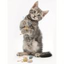 Плюшевая игрушка-мышка для кошек