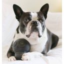 SodaPup (Сода Пап) Skull Treat Dispenser – Жевательная игрушка-диспенсер Череп для лакомств для собак, черный