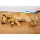 DoggyMan (ДоггиМен) Dog Massager - Массажер для собак роликовый