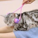 CattyMan (КэттиМен) Cat Massager - Массажер для котов роликовый