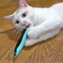 CattyMan (КэттиМен) Fish Blue - Жевательная игрушка для котов с кошачьей мятой (мататаби)