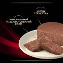 Purina Pro Plan Veterinary Diets DM Diabetes Management - Влажный лечебный корм для кошек c сахарным диабетом (банка)
