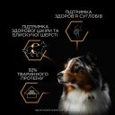 Purina (Пурина Про План) Adult Fish -  Влажный корм для собак кусочки в желе с рыбой