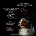 Purina (Пурина Про План) Adult Turkey  -  Влажный корм для собак кусочки в желе с индейкой