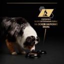 Purina (Пурина Про План) Adult Turkey  -  Влажный корм для собак кусочки в желе с индейкой