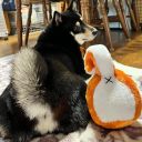 DoggyMan (ДоггиМен) Shiba Inu - Мягкая игрушка для собак с колокольчиком