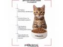 ProScience (ПроСайенс) Nurturing Support Mother & Baby Salmon - Сухой корм для котят и кормящих кошек (лосось)