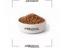 ProScience (ПроСайенс) Healthy Growth Kitten Lamb - Сухой корм для котят (ягненок)