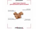 ProScience (ПроСайенс) Healthy Growth Kitten Lamb - Сухой корм для котят (ягненок)