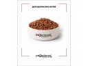 ProScience (ПроСайенс) Sensitive Beauty Adult Salmon - Cухой корм для здоровья кожи и шерсти кошек (лосось)