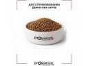 ProScience (ПроСайенс)  Sterilised Urinary Care Chicken - Сухой корм для стерилизованных котов (курица)