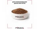ProScience (ПроСайенс)  Sterilised Urinary Care Lamb & Salmon - Сухой корм для стерилизованных котов (ягненок и лосось)