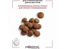 ProScience (ПроСайенс)  Sterilised Urinary Care Lamb & Salmon - Сухой корм для стерилизованных котов (ягненок и лосось)