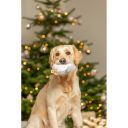 Trixie (Трикси) Reindeer Рождественский Пингвин игрушка для собак