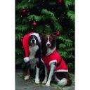 Trixie (Трикси) Рождественская попона красная для собак